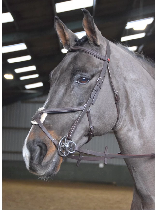 John Whitaker Ready To Ride Mexican Bridle - BR055