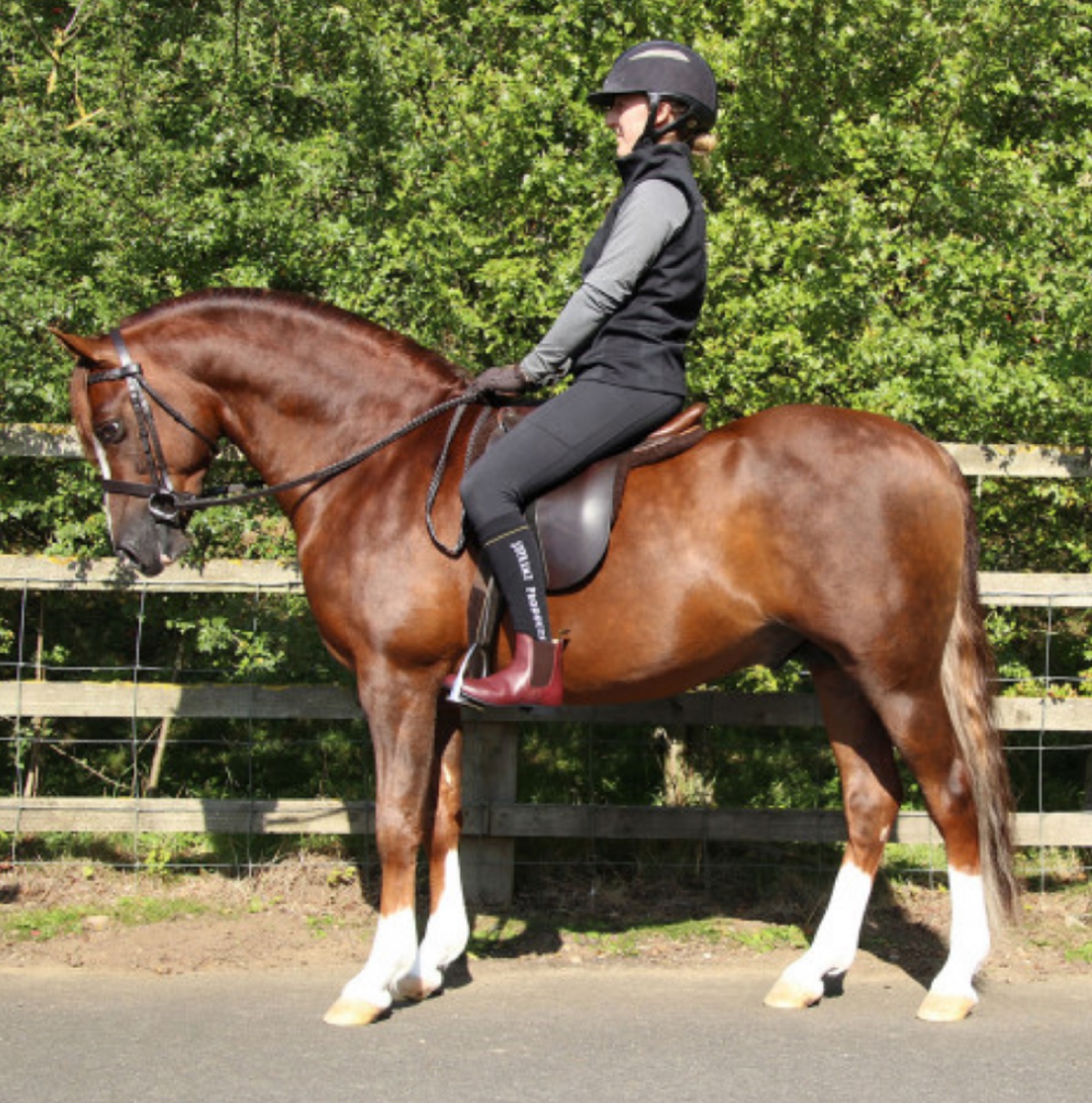 Gilet equitation best sale smart rider