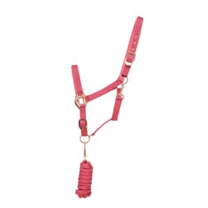 Hy Rose Gold Headcollar and Lead Rope